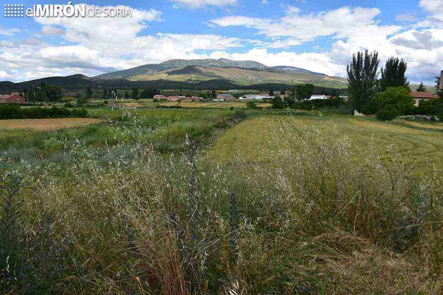 Unidas Podemos proyecta una dehesa en Ólvega