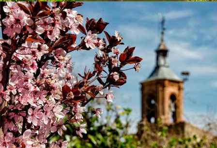 Revista de mayo de las Casas de Soria