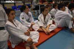 Cita con el Campeonato provincial de Judo