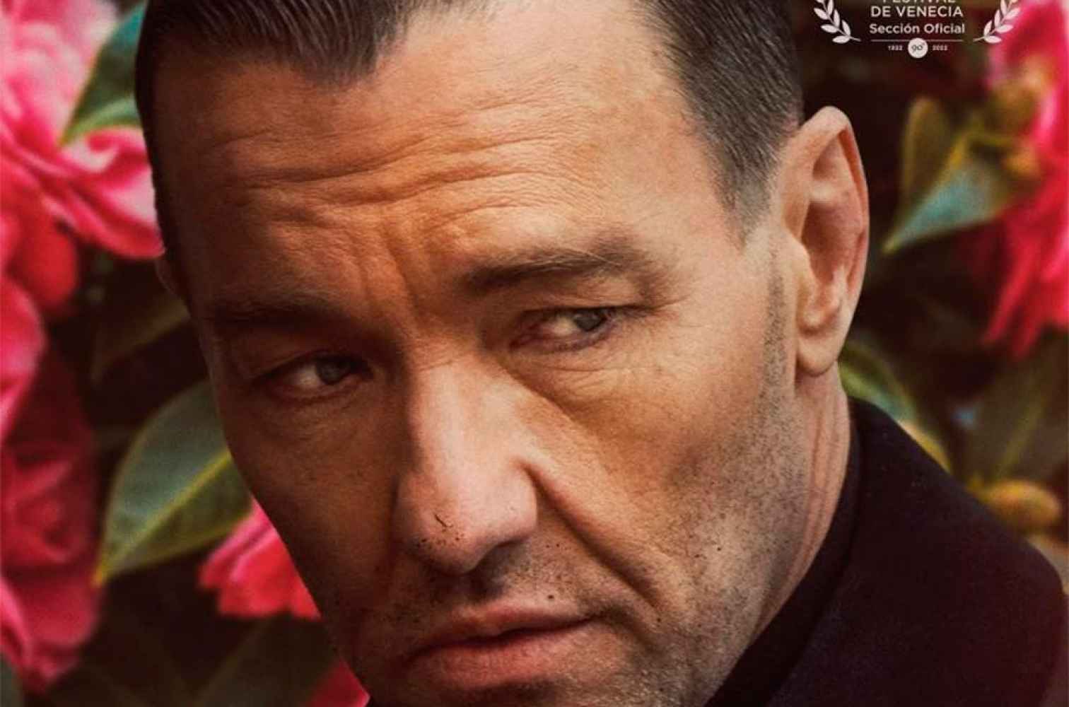 Cuatro estrenos en Cines Lara
