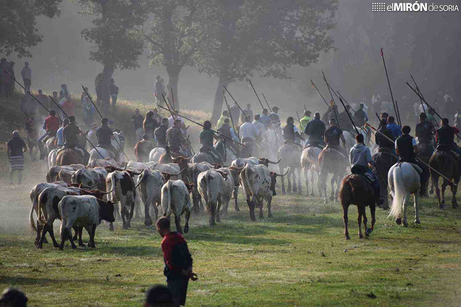 Condenado hombre que dió puñetazo al alcalde en jornada de Lavalenguas 2023