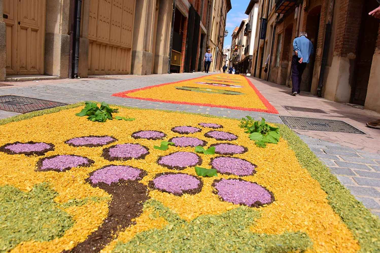 Alfombras florales en San Esteban de Gormaz - fotos