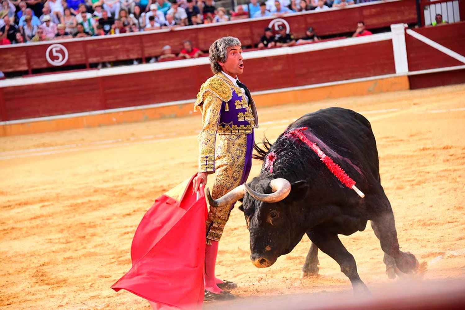 San Juan 2023: corrida de toros mixta - fotos