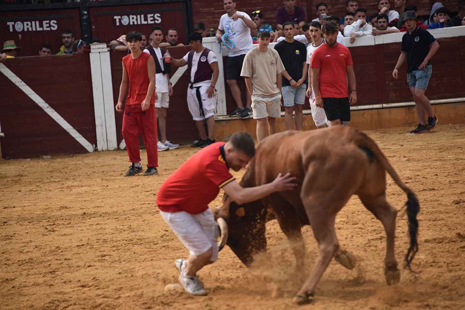 San Juan 2023: suelta de vaquillas - fotos