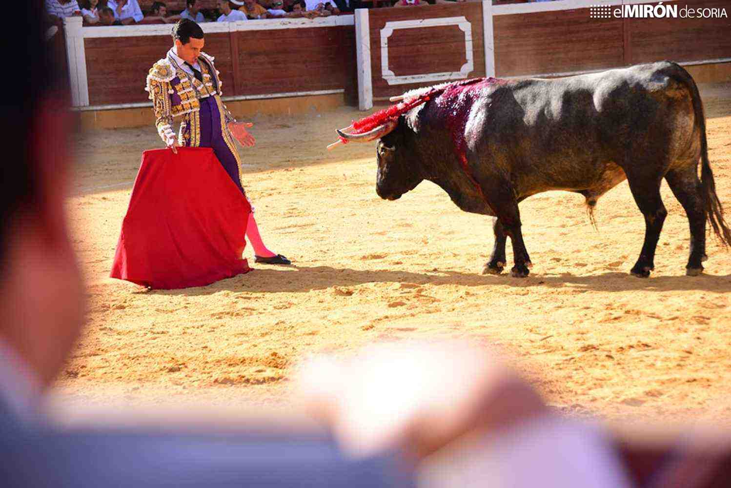 El Ayuntamiento de Soria licita nuevo pliego para festejos taurinos