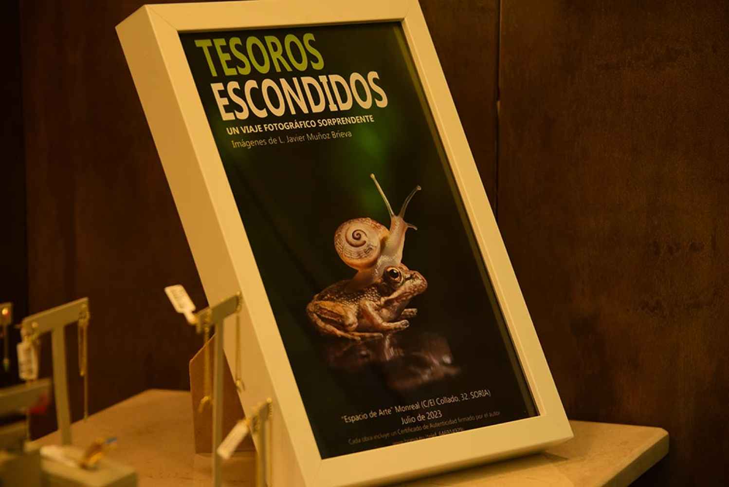 Viaje fascinante al mundo de los insectos y anfibios - fotos