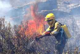 Declarada alerta de riesgo de incendios forestales