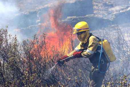 Nueva alerta de riesgo por incendios forestales
