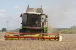 La cosecha cerealista se reduce a 3,24 toneladas