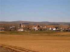Abatido en Alconaba novillo fugado en Viana de Duero