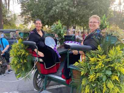 Presencia soriana en batalla de las Flores