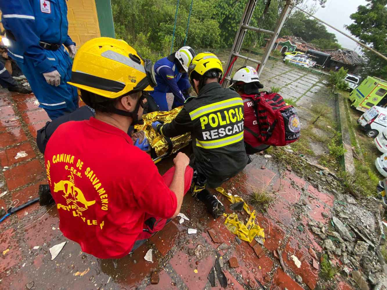 Experto mundial en rescates con perros colabora con Colombia