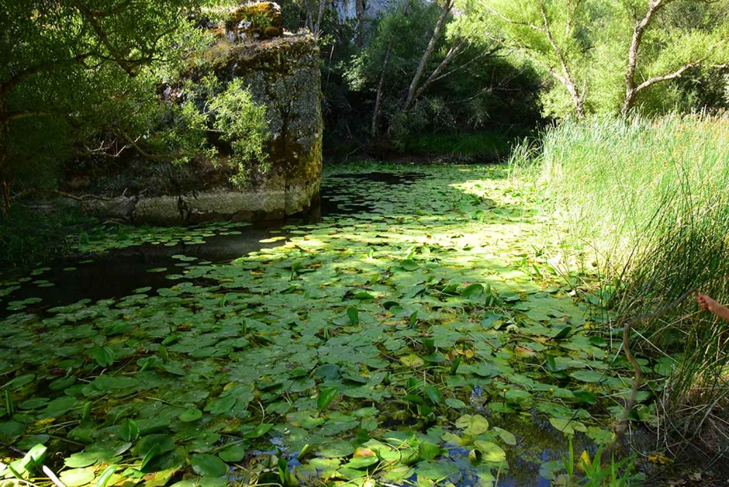Visita al Cañón del Río Lobos - fotos