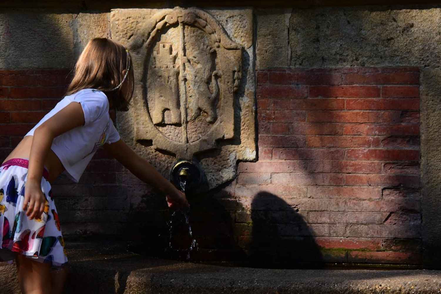 La Dehesa de Soria, un oasis frente al calor - fotos