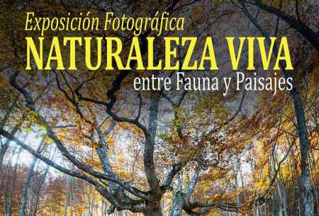 Exposición de Muñoz Brieva sobre "Naturaleza viva"