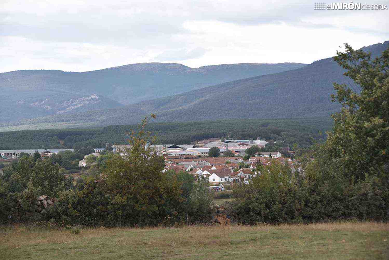 Covaleda gestiona 6,5 millones de la venta de madera con derechos de suerte de pinos 