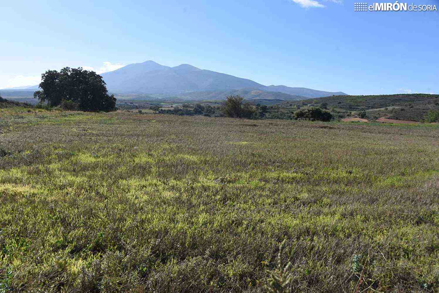 Sin apoyo PNL socialista para plan de ayudas a agricultores de Ágreda