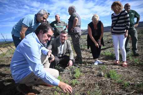 Al menos 50 millones para restauración forestal de sierra de la Culebra