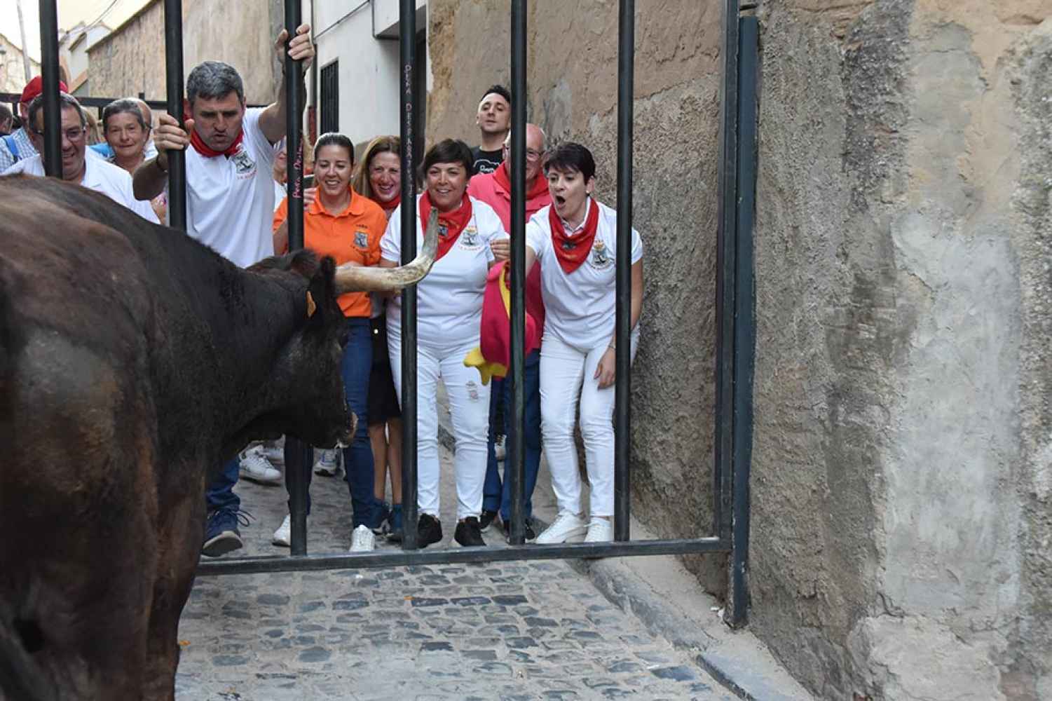 Ágreda en fiestas: suelta de vaquillas - fotos