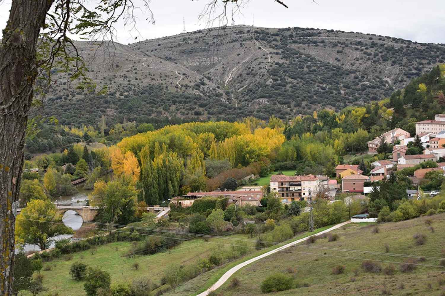 El otoño se adueña del Duero - fotos