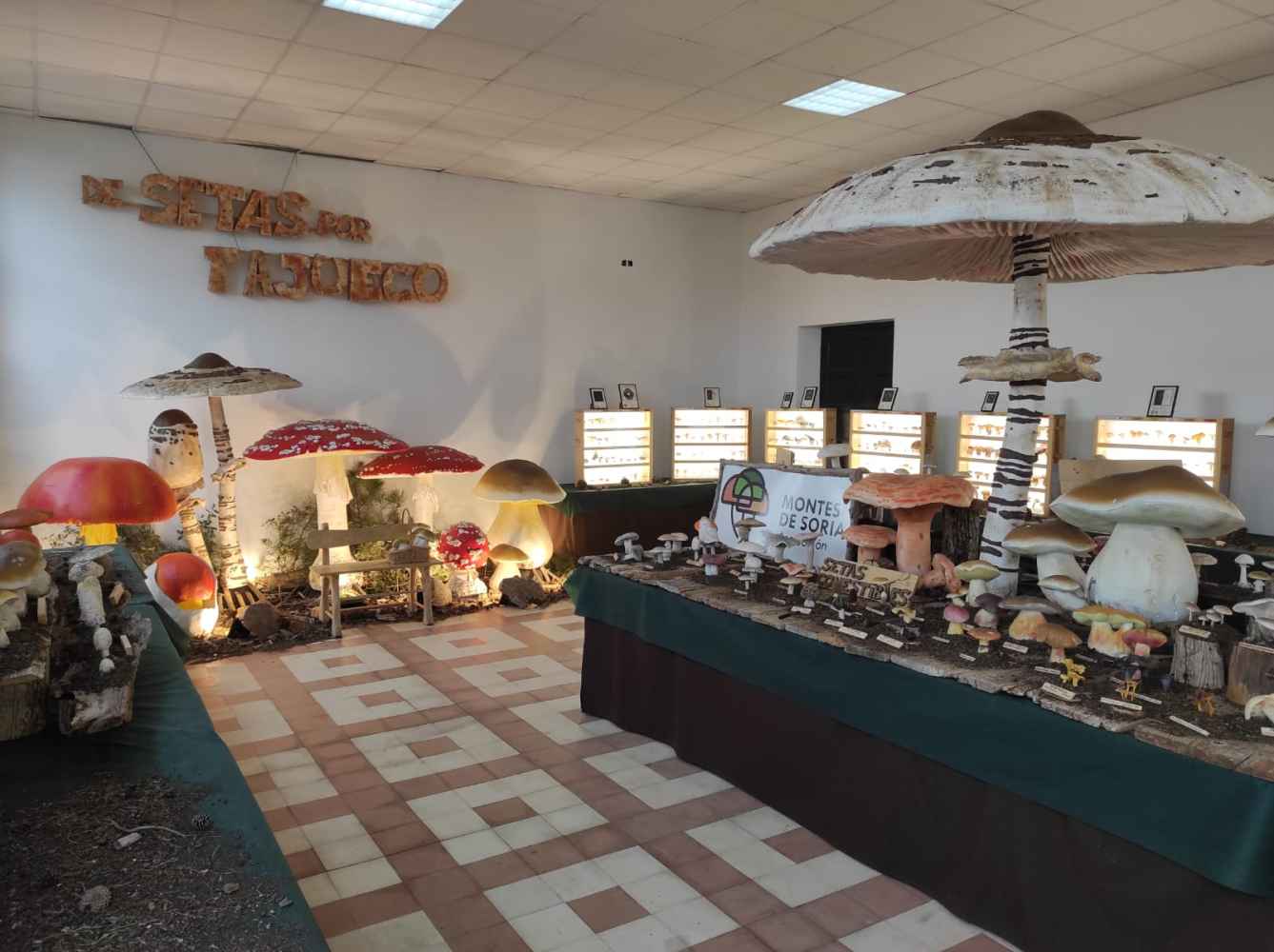 Montes de Soria se multiplica en octubre 