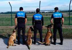 Doce actividades formativas para bomberos, policías y voluntarios