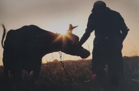 El veterinario Óscar Caso presenta “La desconexión rural”