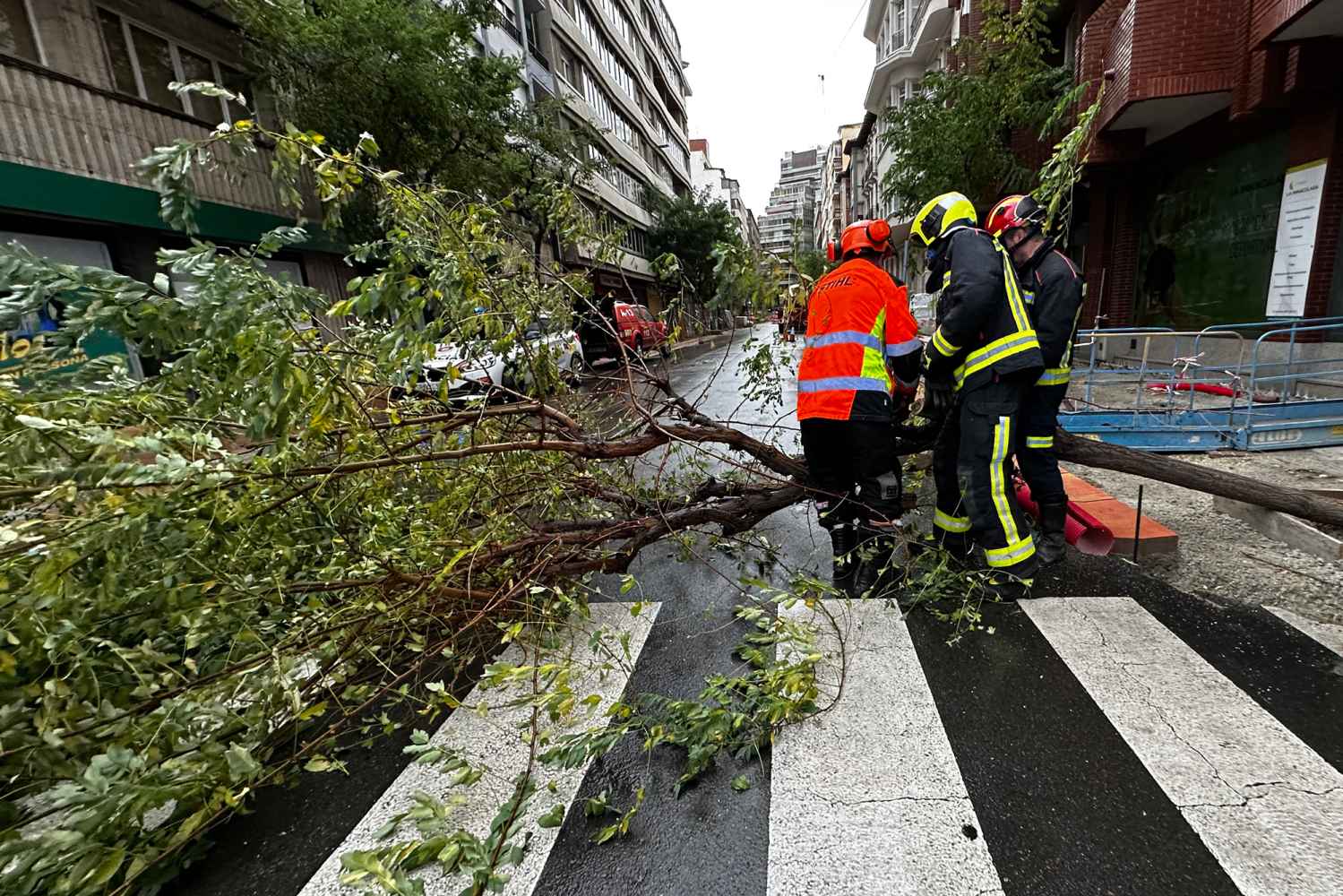 Más de 300 incidencias por fuertes vientos en Comunidad