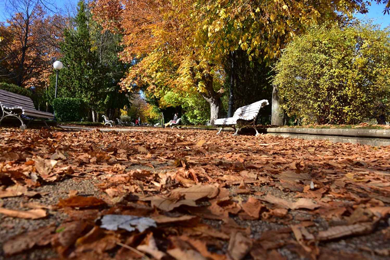 La Dehesa de Soria, en otoño - fotos