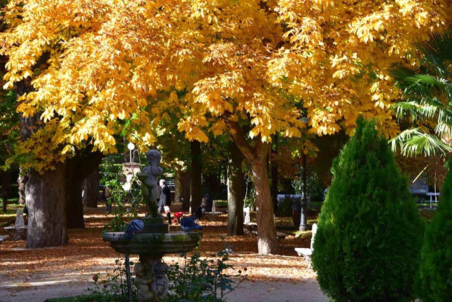 Paseo por una Dehesa otoñal - fotos