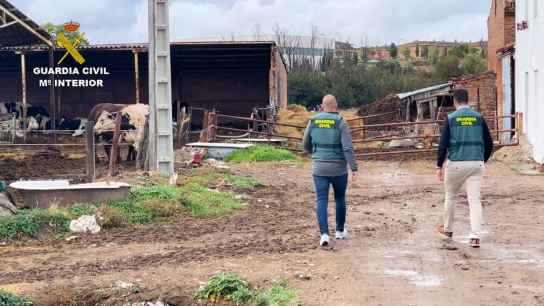 Investigados ganaderos por fraude en ayudas europeas