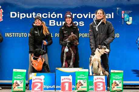 Tres mushers sorianos participan en campeonato regional