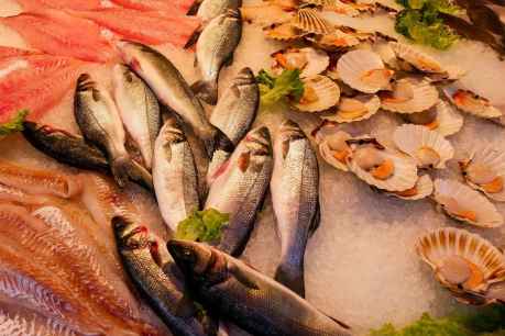 Fomento del consumo de pescado fresco