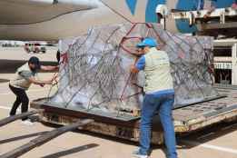 La Fundación Pedro Navalpotro apoya a UNICEF en Libia
