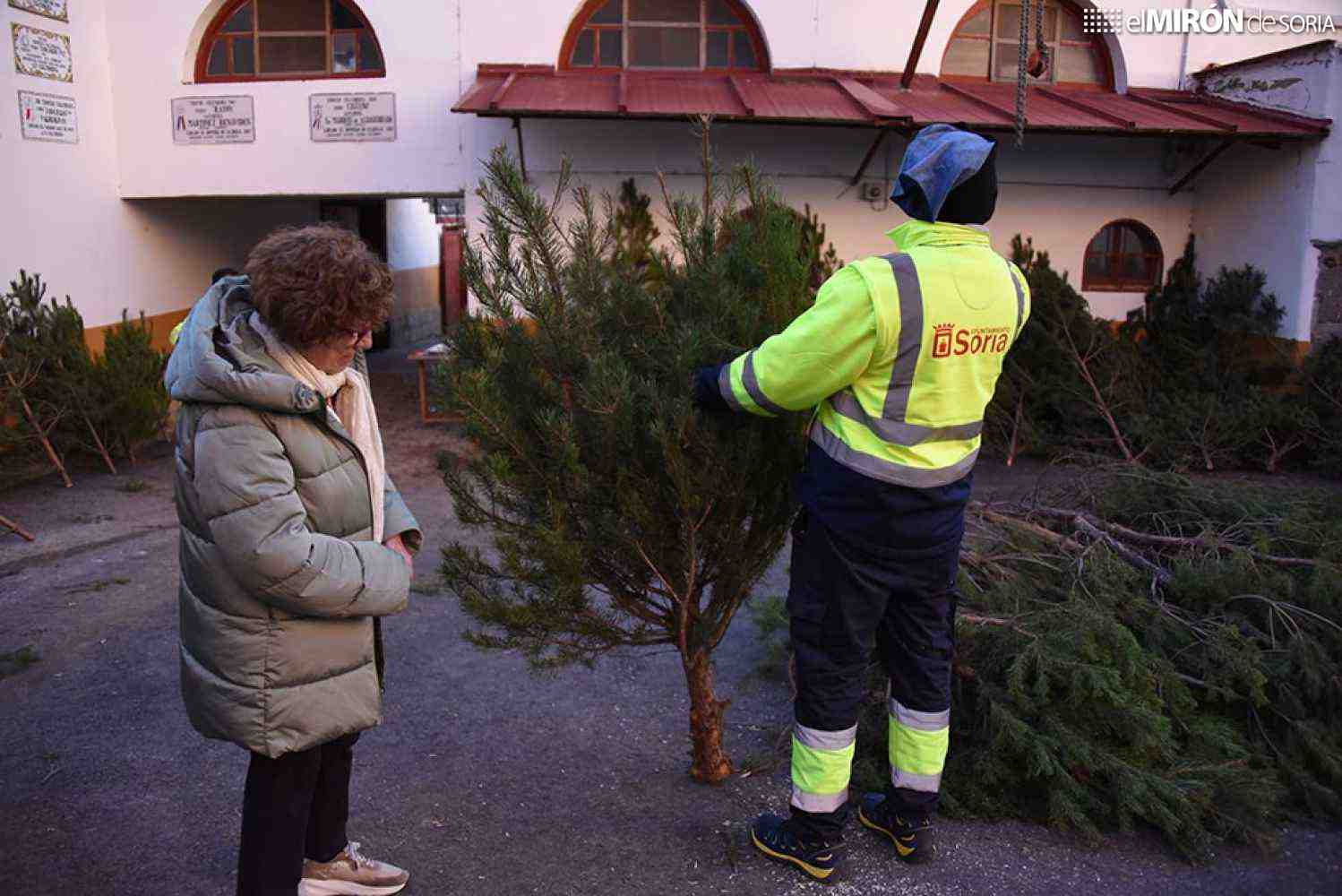 El Ayuntamiento de Soria reparte la próxima semana los pinos navideños