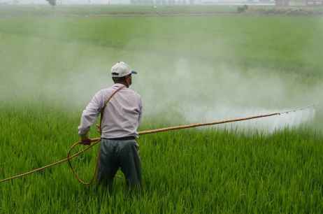 La Junta de Castilla y León abona 50 millones para jóvenes agricultores