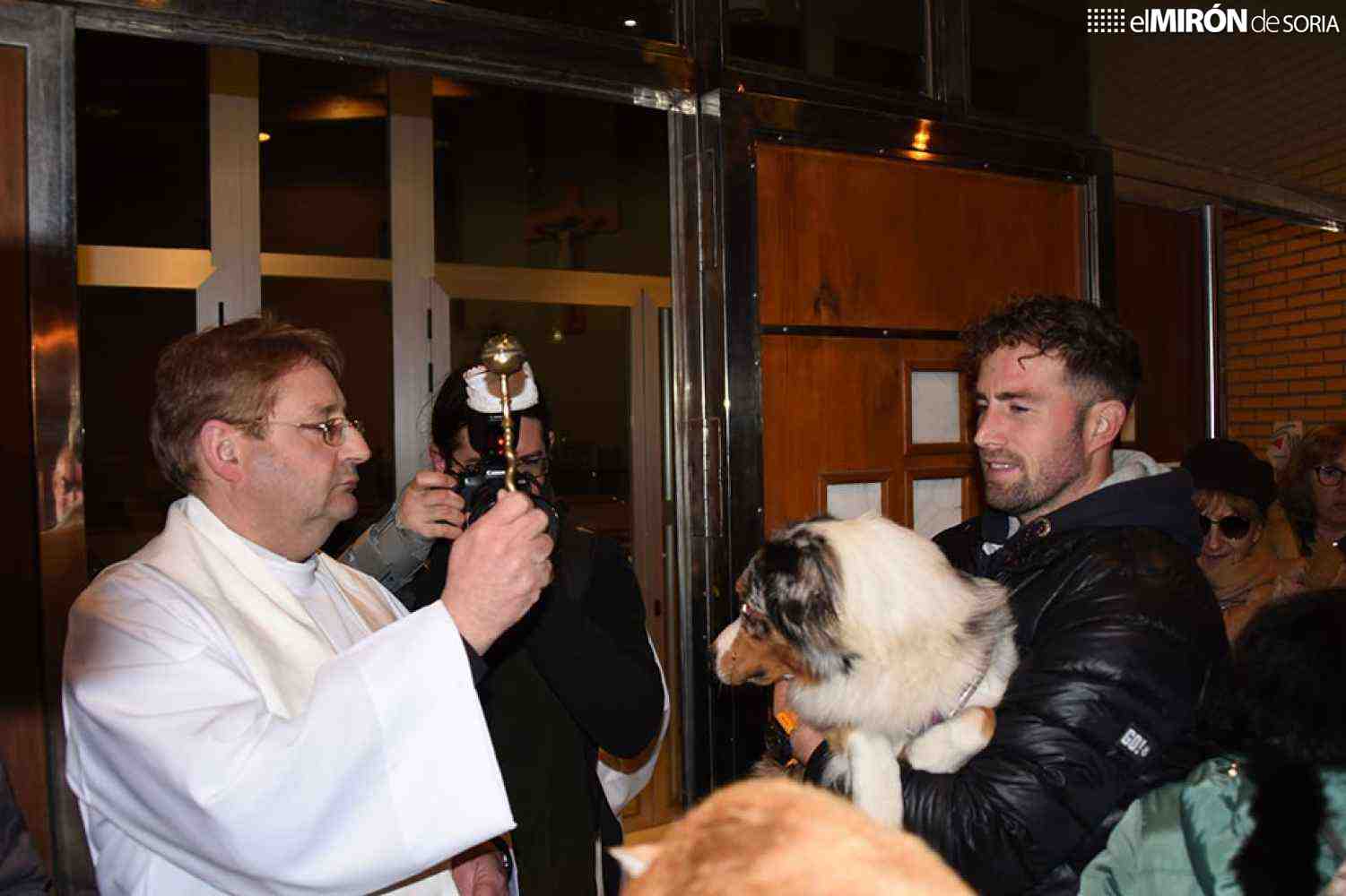 Medio centenar de mascotas reciben bendición en Soria por San Antón