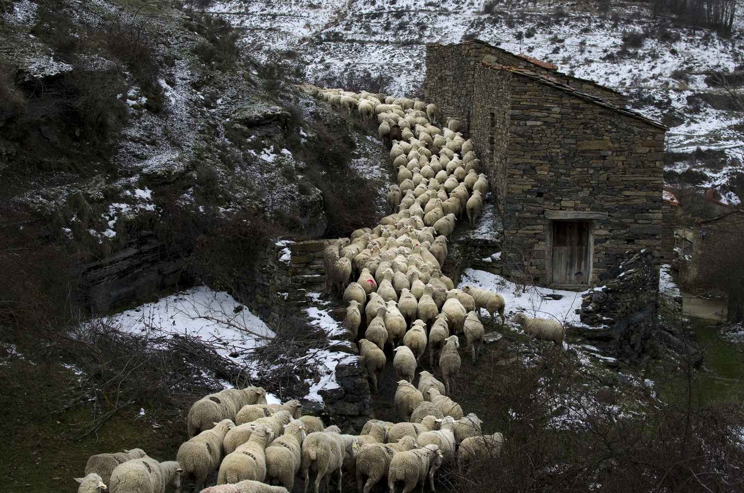Sarnago convoca I concurso literario "Abel Hernández"