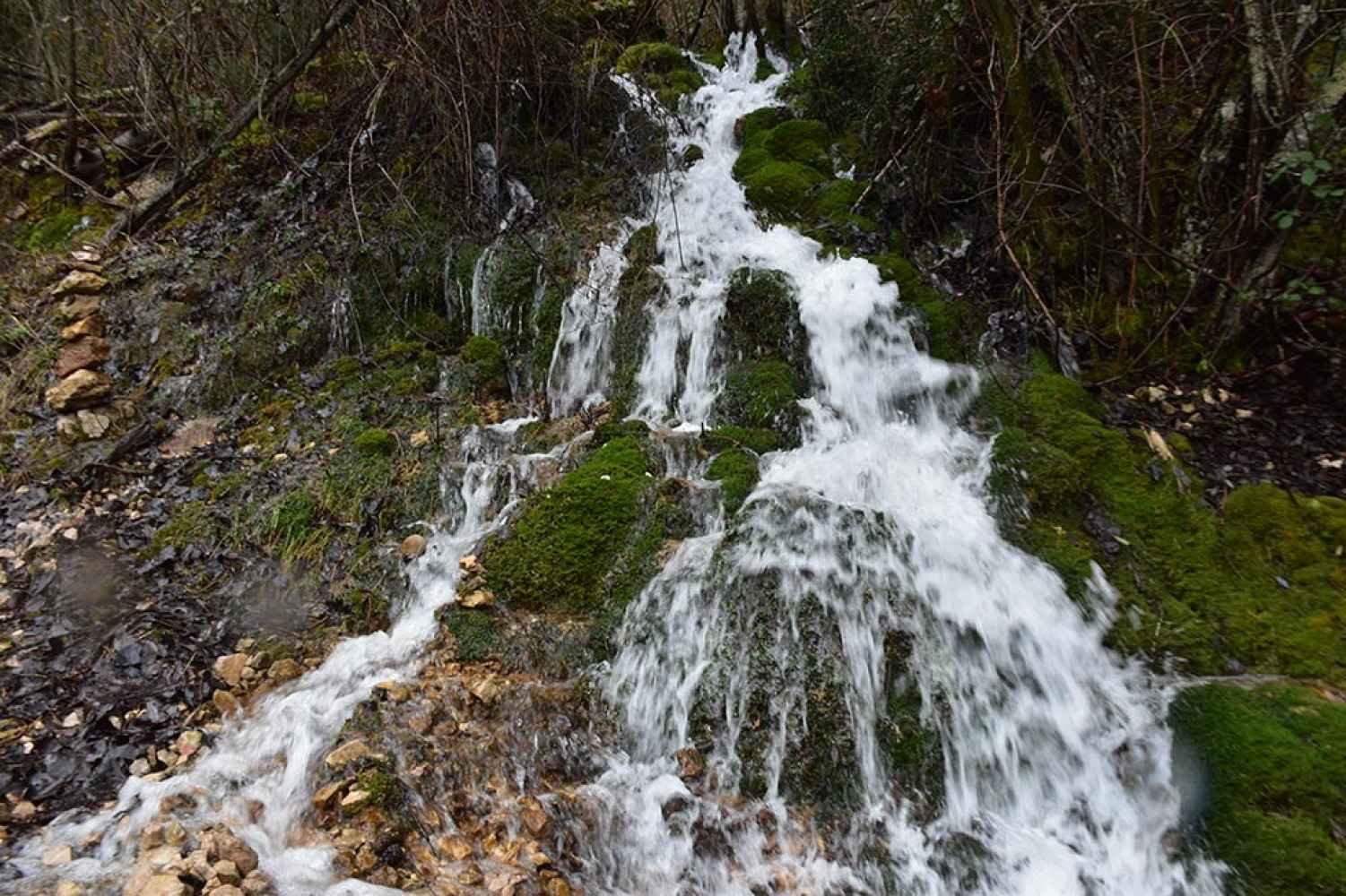 Nacimiento del río Pedrajas, en Cidones - fotos