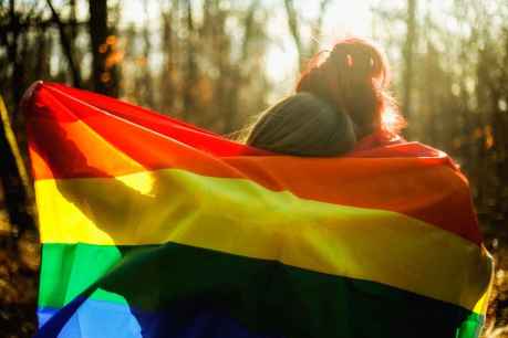 Casi 1 por ciento de parejas castellano leonesas es homosexual