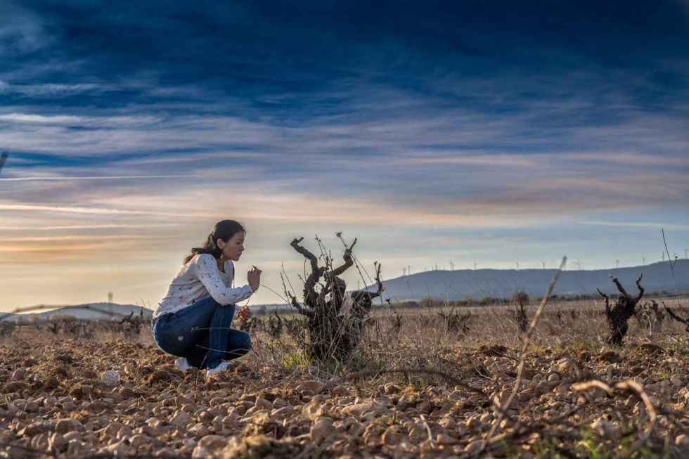 Cinco obras finalistas del VIII Premio Ribera del Duero de Narrativa Breve