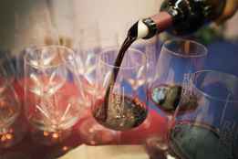 La asociación Viñas Viejas de Soria presenta sus vinos 