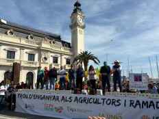 Ana Pastor: "El trigo y el girasol llegan a los puertos de manera descontrolada"