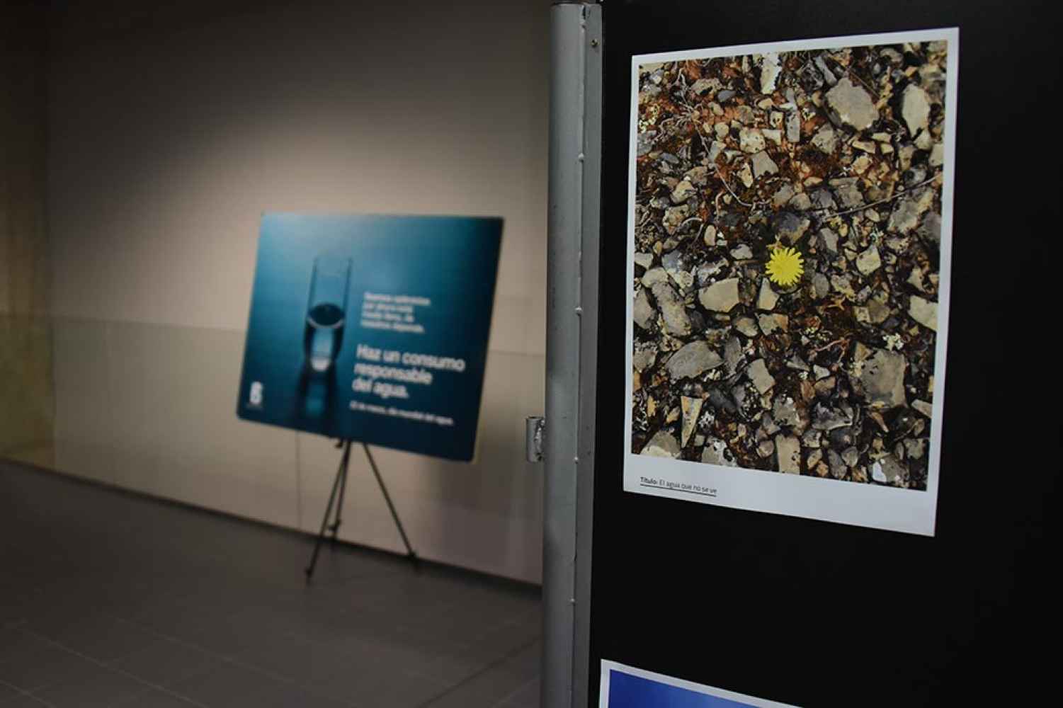 Exposición del concurso de fotografía "Agua y Vida" - fotos