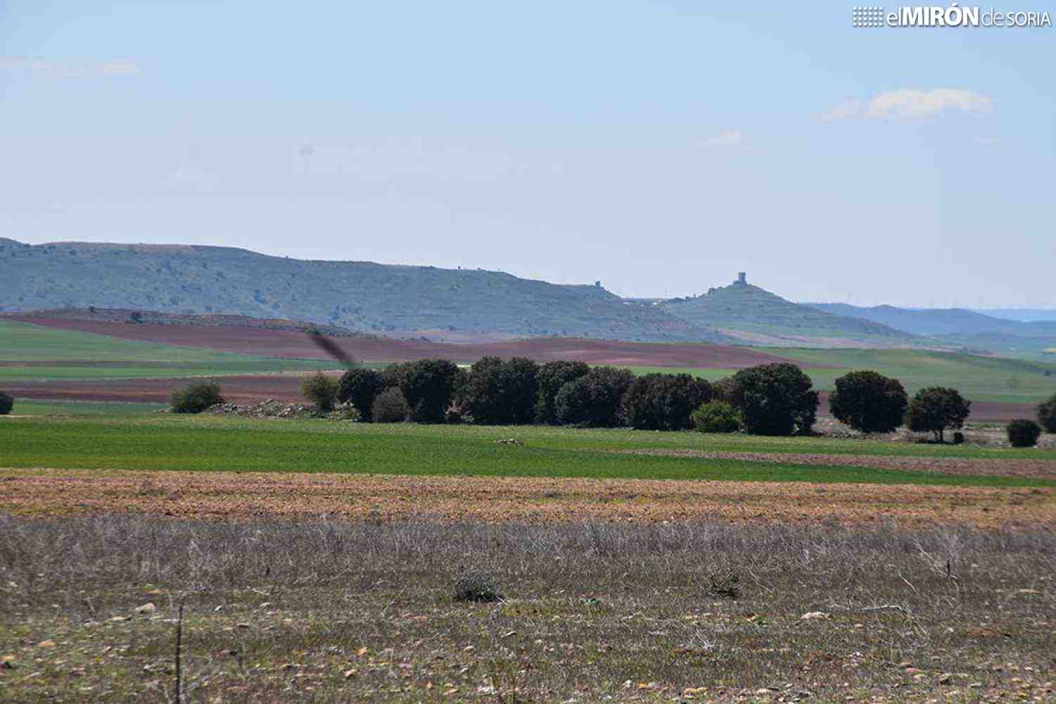 La Junta adjudica nueve aprovechamientos forestales en Soria