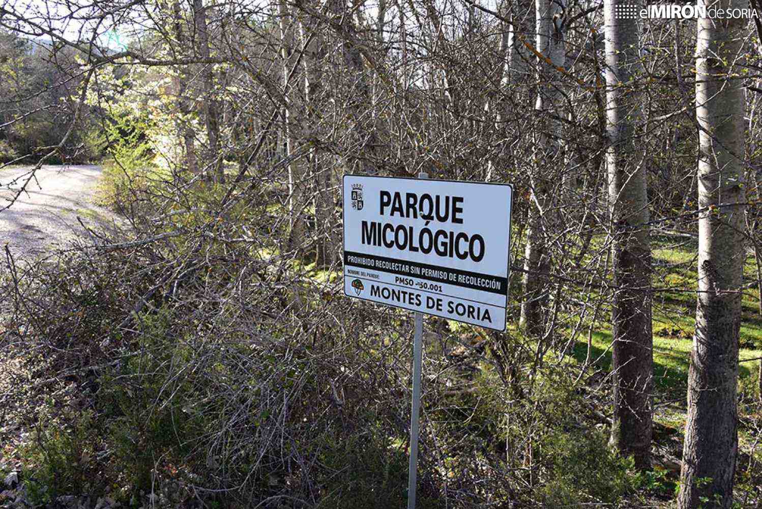 El Parque Micológico Montes de Soria vende más de la mitad de los permisos de recolección en Castilla y León