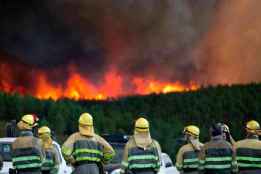 La Junta formará a 800 alumnos en restauración de paisajes dañados por fuego