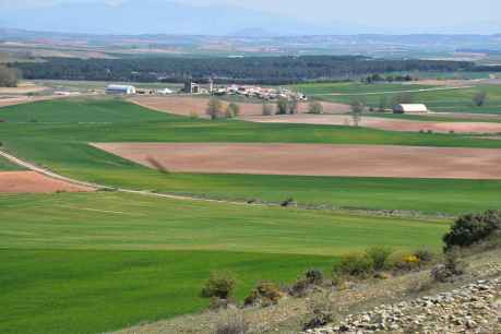 Campos del Duero, en Soria - fotos