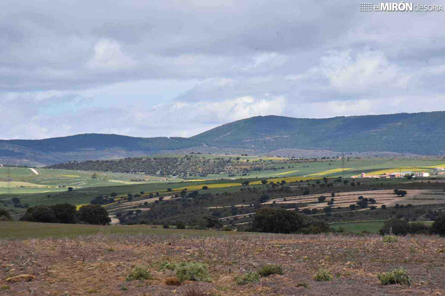 Tierras Altas ubicará 48 instalaciones fotovoltaicas en la comarca