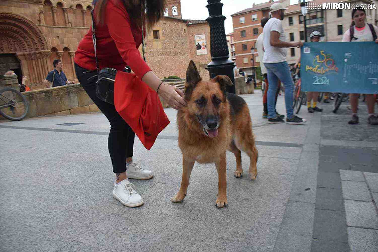 Soria celebra cuarta edición de Feria de Mascotas